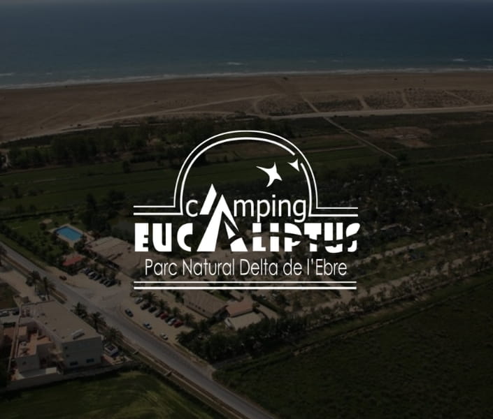 Casos de Éxito IPM Projects
