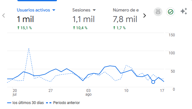 Caso de Éxito Anabel Garbi con servicios SEO de IPM Projects
